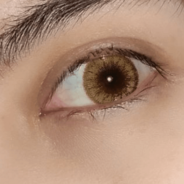 UUSI! Cheerful Woody Brown - Värillisetpiilolinssit.fi